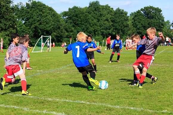 130629 Sandhurst Wanderers U8 at BTJ U9 Trny (450)