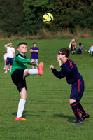 Eldon-2014 1095