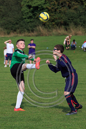 Eldon-2014 1095