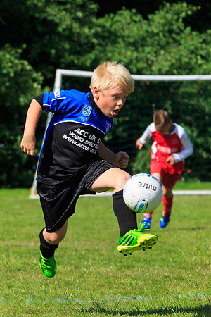 130629 Sandhurst Wanderers U8 at BTJ U9 Trny (308)-2