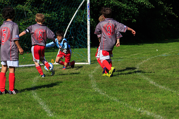 130629 Sandhurst Wanderers U8 at BTJ U9 Trny (444)