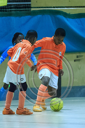 FT0515 (474)