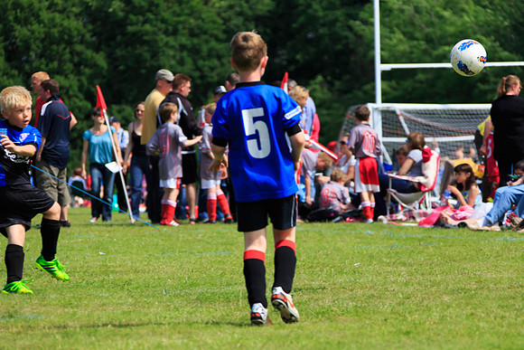 130629 Sandhurst Wanderers U8 at BTJ U9 Trny (150)
