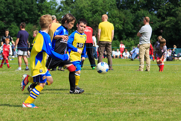 130629 Sandhurst Wanderers U8 at BTJ U9 Trny (125)