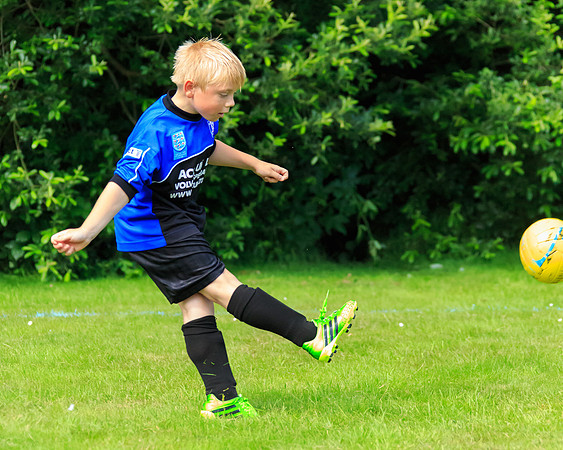 130629 Sandhurst Wanderers U8 at BTJ U9 Trny (190)