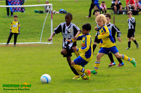 140505 Magpies U10 Ascot Tourny 005