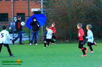 140208 B Cav U9 v Finch Falcons 018