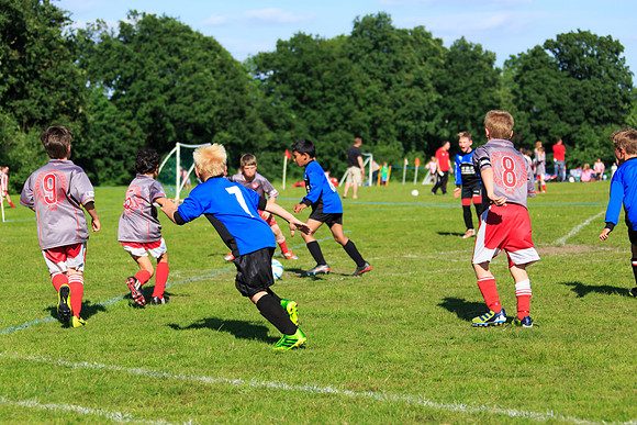 130629 Sandhurst Wanderers U8 at BTJ U9 Trny (451)