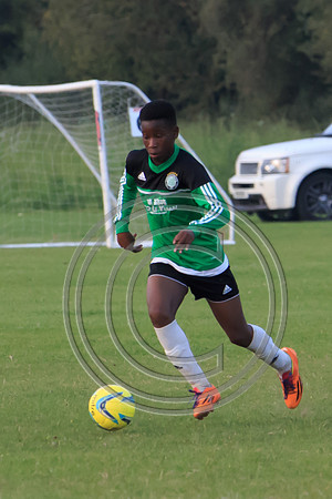 Eldon-2014 1503