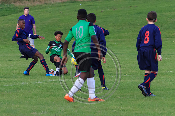 Eldon-2014 1511