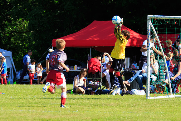 130629 Sandhurst Wanderers U8 at BTJ U9 Trny (383)