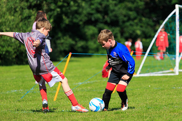 130629 Sandhurst Wanderers U8 at BTJ U9 Trny (336)