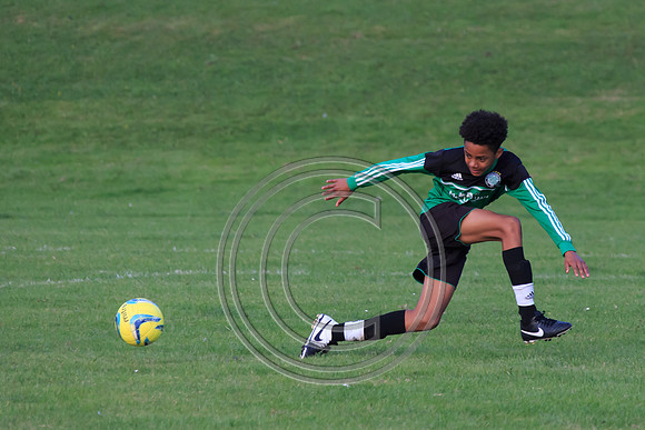 Eldon-2014 1466