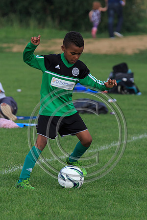 Eldon-2014 952