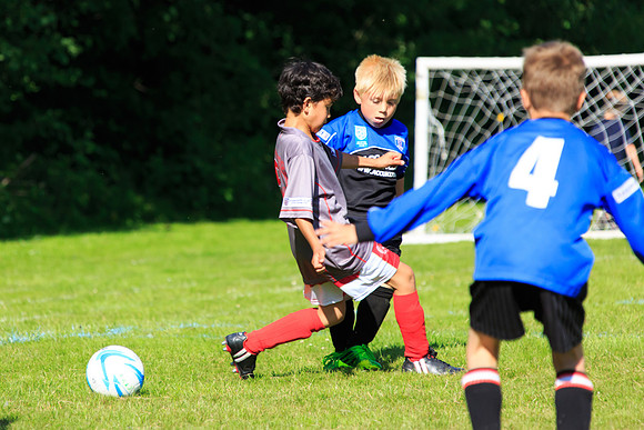 130629 Sandhurst Wanderers U8 at BTJ U9 Trny (342)