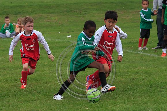 Eldon-2014 236