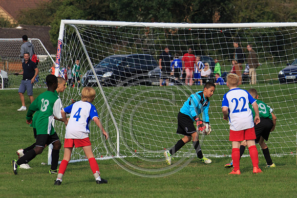 Eldon-2014 1067