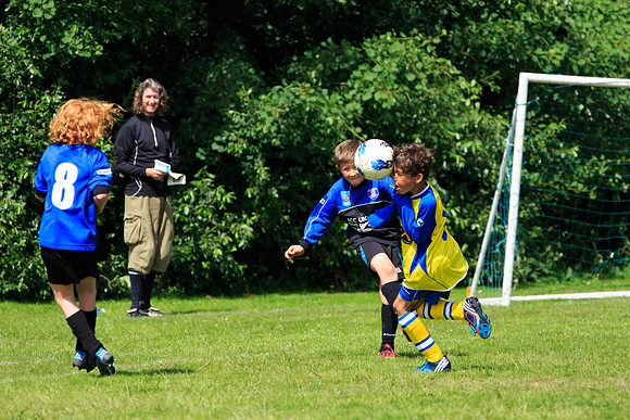 130629 Sandhurst Wanderers U8 at BTJ U9 Trny (177)
