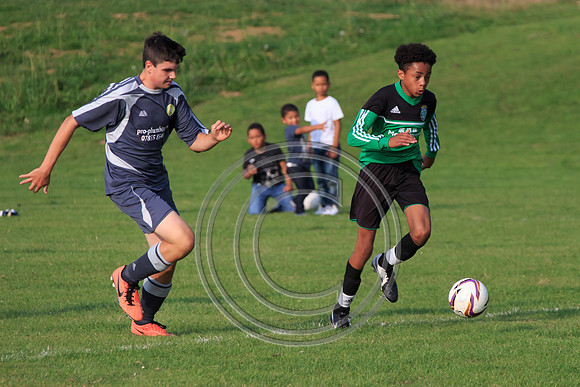 Eldon-2014 1351