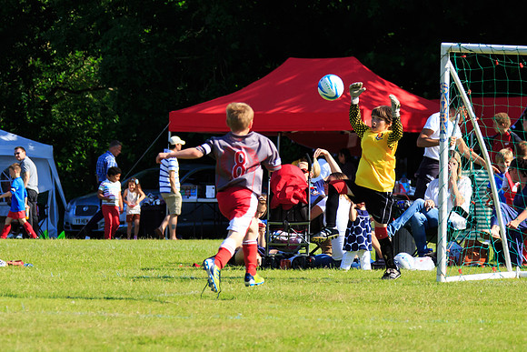 130629 Sandhurst Wanderers U8 at BTJ U9 Trny (384)