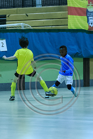 FT0515 (328)