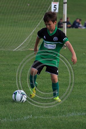 Eldon-2014 990
