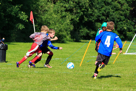 130629 Sandhurst Wanderers U8 at BTJ U9 Trny (405)