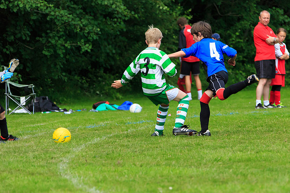 130629 Sandhurst Wanderers U8 at BTJ U9 Trny (241)