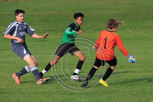 Eldon-2014 1352