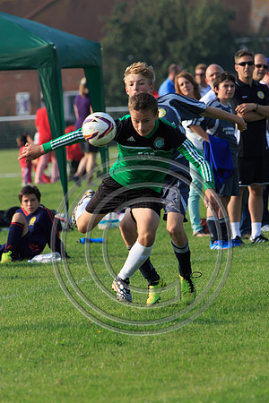 Eldon-2014 1319