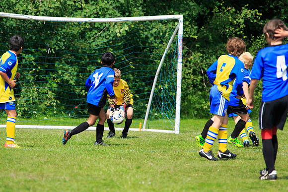 130629 Sandhurst Wanderers U8 at BTJ U9 Trny (121)