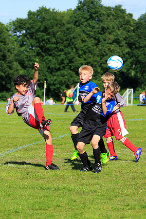 130629 Sandhurst Wanderers U8 at BTJ U9 Trny (421)
