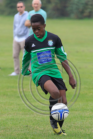 Eldon-2014 120