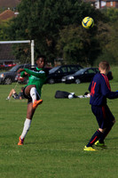 Eldon-2014 1099