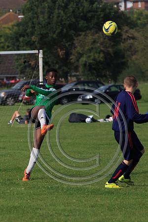 Eldon-2014 1099