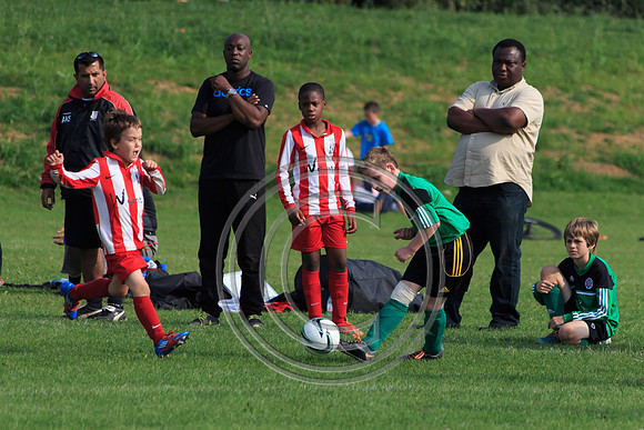 Eldon-2014 1048