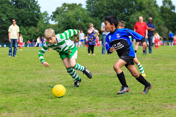 130629 Sandhurst Wanderers U8 at BTJ U9 Trny (220)