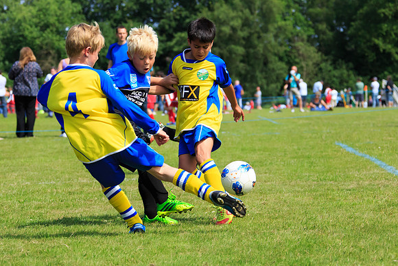 130629 Sandhurst Wanderers U8 at BTJ U9 Trny (160)