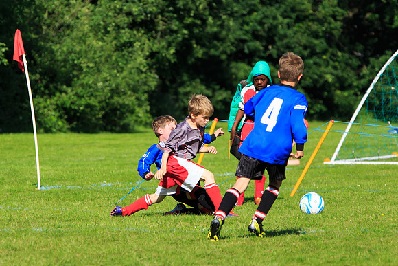 130629 Sandhurst Wanderers U8 at BTJ U9 Trny (406)