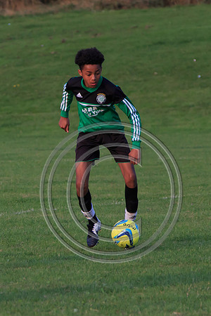 Eldon-2014 1478
