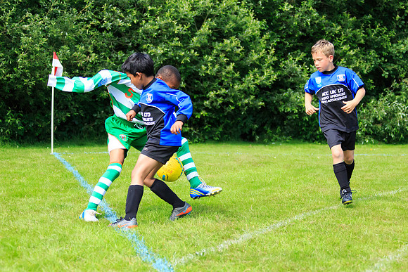 130629 Sandhurst Wanderers U8 at BTJ U9 Trny (188)