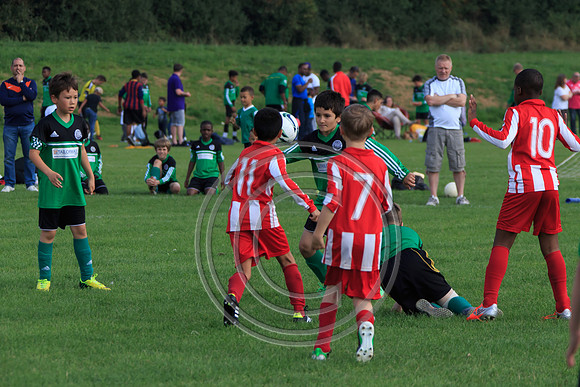 Eldon-2014 1002