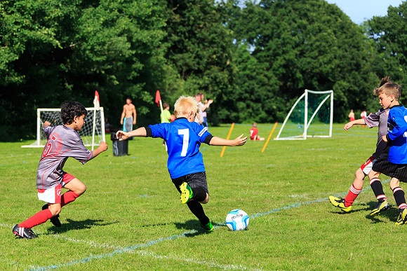 130629 Sandhurst Wanderers U8 at BTJ U9 Trny (362)