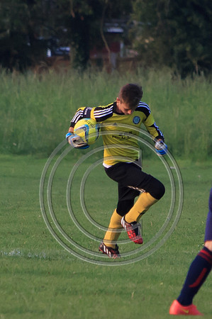 Eldon-2014 1450