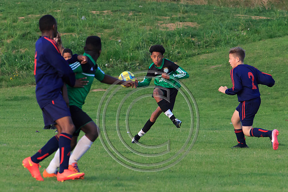 Eldon-2014 1454