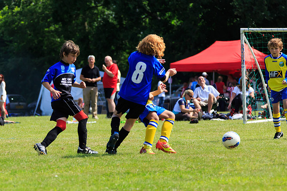 130629 Sandhurst Wanderers U8 at BTJ U9 Trny (119)