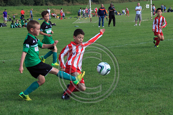 Eldon-2014 1016