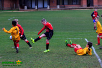 140223 B Cav U9 v Pinewood Pumas (14)