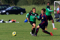 Eldon-2014 1103