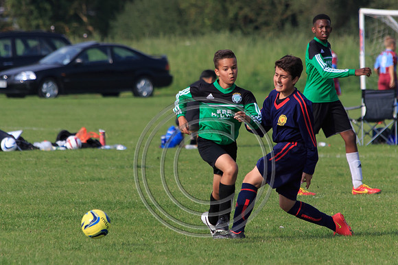 Eldon-2014 1103